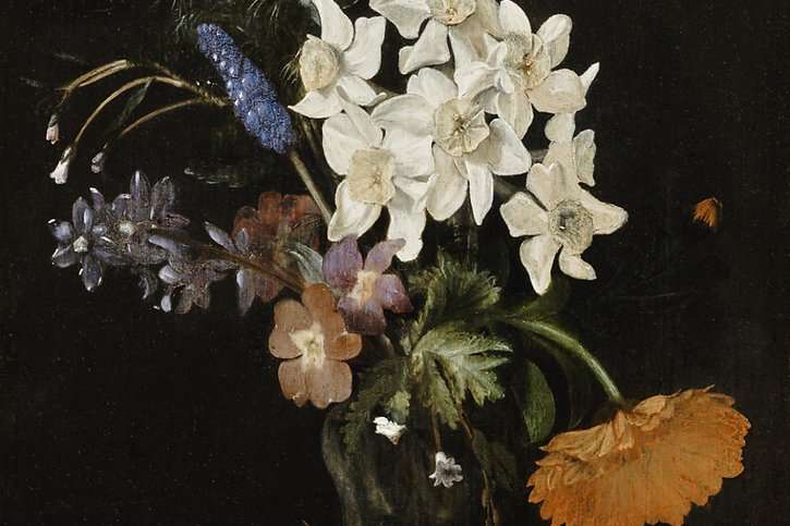 L'un des tableaux retrouvés montre un bouquet de narcisses, peint par de Dirck de Bray en 1673. © Kunsthaus Zürich