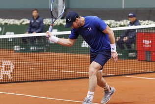 Retrouvailles Murray - Djokovic compromises