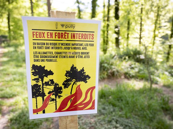 Les feux en forêt sont interdits dans plusieurs régions de Suisse (archives). © KEYSTONE/LEANDRE DUGGAN