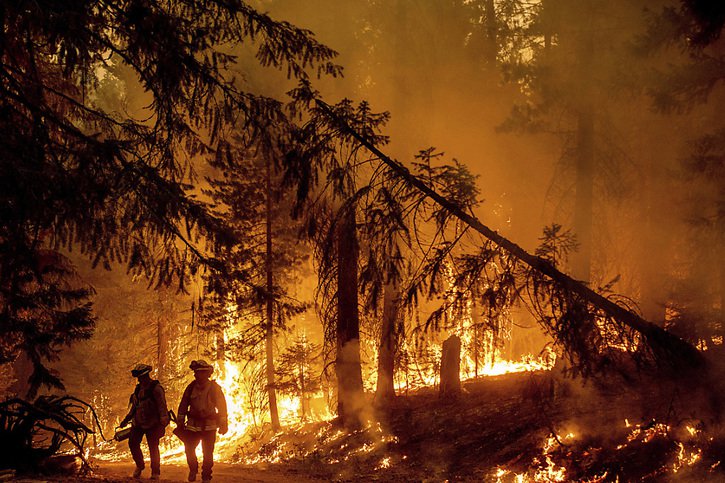En un mois, le nombre de feux de forêt a doublé dans l'ouest des Etats-Unis, passant à 66 (archives). © KEYSTONE/AP/Noah Berger