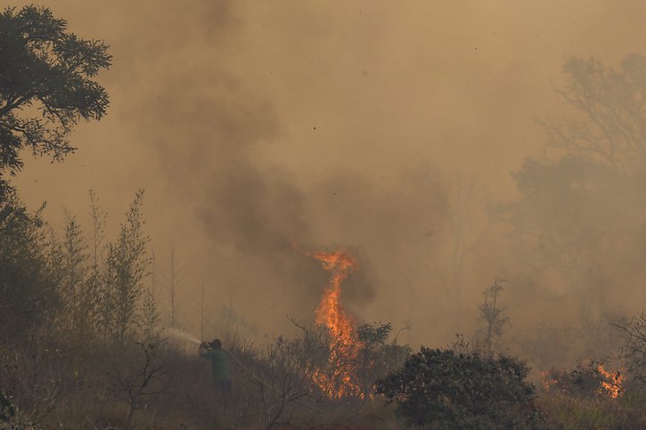 1200 des 2000 hectares de la réserve naturelle de Juquery ont été ravagés par le feu. © KEYSTONE/AP/Andre Penner
