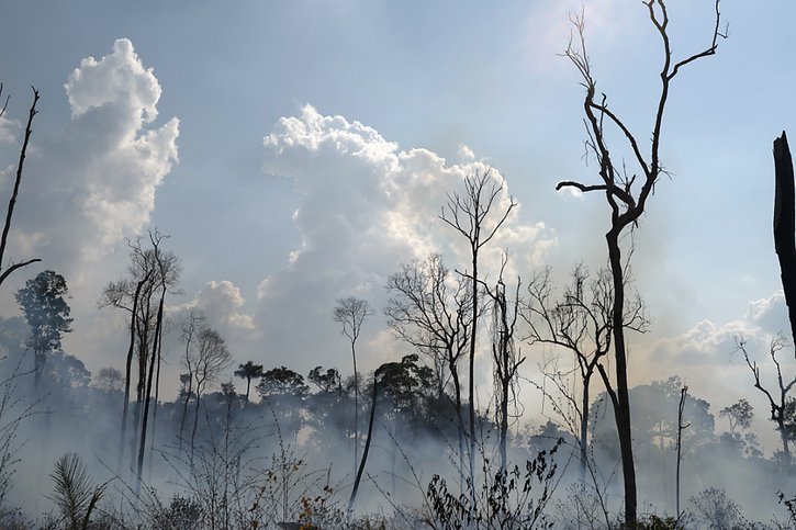 70% d'entre elles travaillaient pour mettre fin à la déforestation et toutes, sauf une, vivaient dans des pays en développement (archives). © KEYSTONE/AP/LEO CORREA