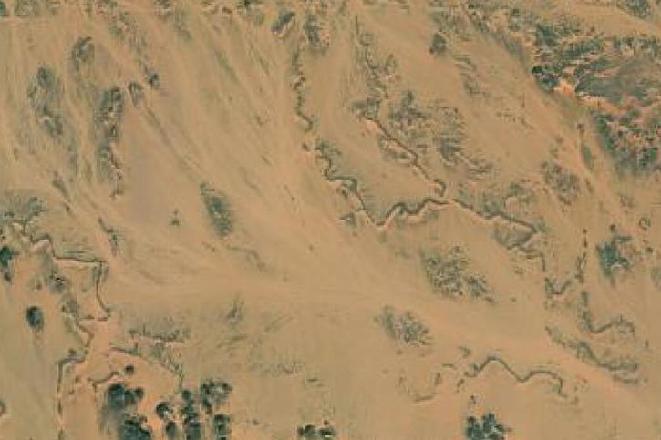 Cette image satellite montre les morphologies des rivières fossiles du sud de l’Égypte, qui furent intensément actives pendant la période humide africaine. © UNIGE/Esri World Imagery
