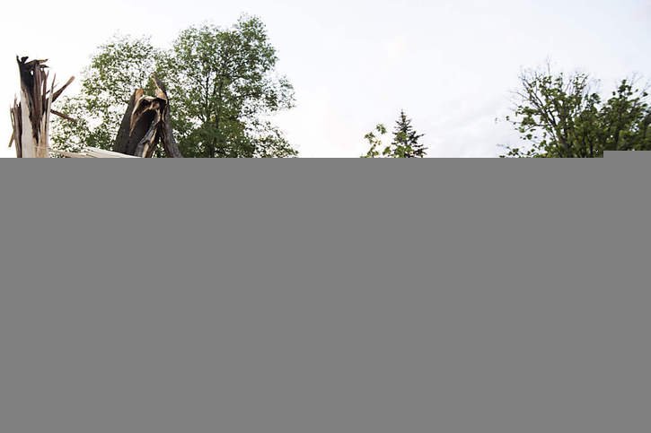 Deux des décès en Ontario sont dus à des chutes d'arbre. © KEYSTONE/AP/Justin Tang