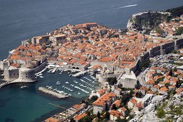 Polémique à Dubrovnik sur le sort d'un félin des rues