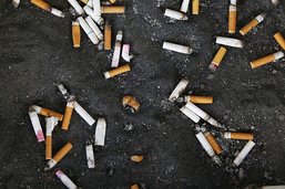 Impact désastreux de l'industrie du tabac sur l'environnement (OMS)