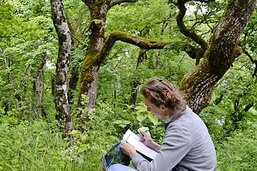 Et si tu révisais en forêt?