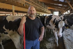 Votations: ils respectent déjà leurs vaches