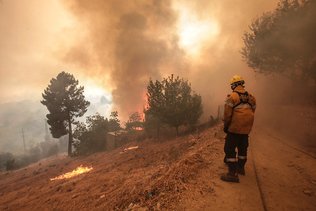 Portugal: 10'000 hectares partis en fumée dans une région protégée