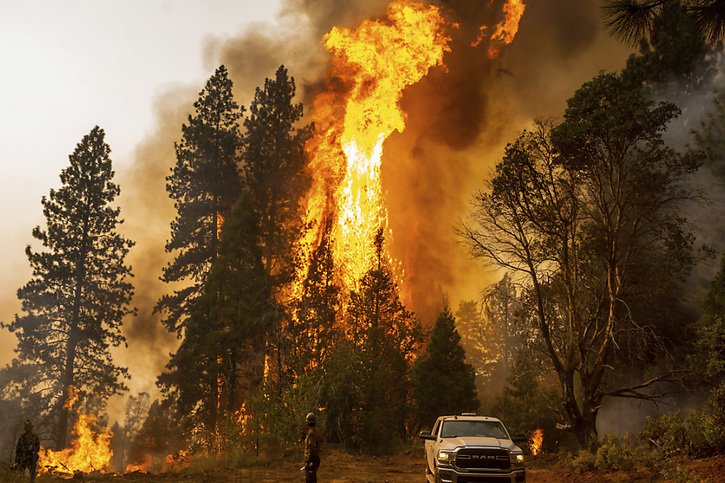 Selon des pompiers, il est de voir un embrasement de la végétation comme avec le Mosquito Fire. © KEYSTONE/AP/Noah Berger