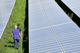Le solaire: après les toits, les champs?