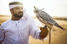 La volerie, sport national du Qatar