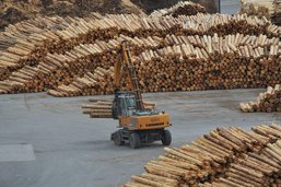 Fin de l’aide pour le bois fribourgeois