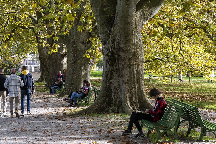 Des promeneurs profitent des températures particulièrement clémentes le 29 octobre au Jardin botanique de la Ville de Genève. © KEYSTONE/MARTIAL TREZZINI