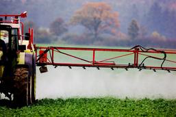 Phytosanitaire: des retards d’homologation nocifs pour l'agriculture