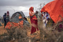 La sécheresse en Somalie pourrait provoquer 135 morts par jour