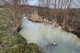 Ruisseau pollué à Prez-vers-Noréaz
