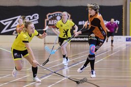 Unihockey: Chevrilles et Fribourg en demi-finale de ligue B
