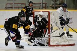 Hockey: Gottéron bat Liberec 4-3 à Guin