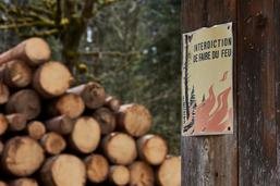 Le canton de Fribourg interdit les feux en forêt