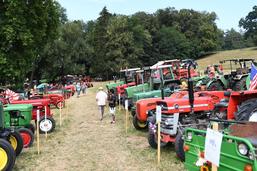 Les tracteurs anciens sont de retour à Wallenried ce week-end