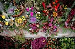 A la Toussaint, les fleurs ne sont plus aussi présentes dans les cimetières
