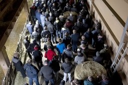Révolte agricole: Des centaines de paysans fribourgeois se mobilisent
