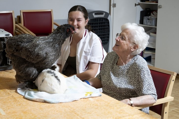 Animaux (3/7): «Ginette», la poule star de l’EMS