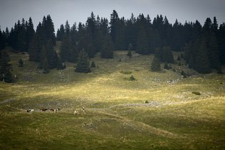 Le "J1" détrône le Crêt de la Neige pour le titre de toit du Jura